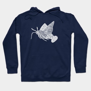 Hummingbird Hawk-Moth - cool and fun moth design - on blue Hoodie